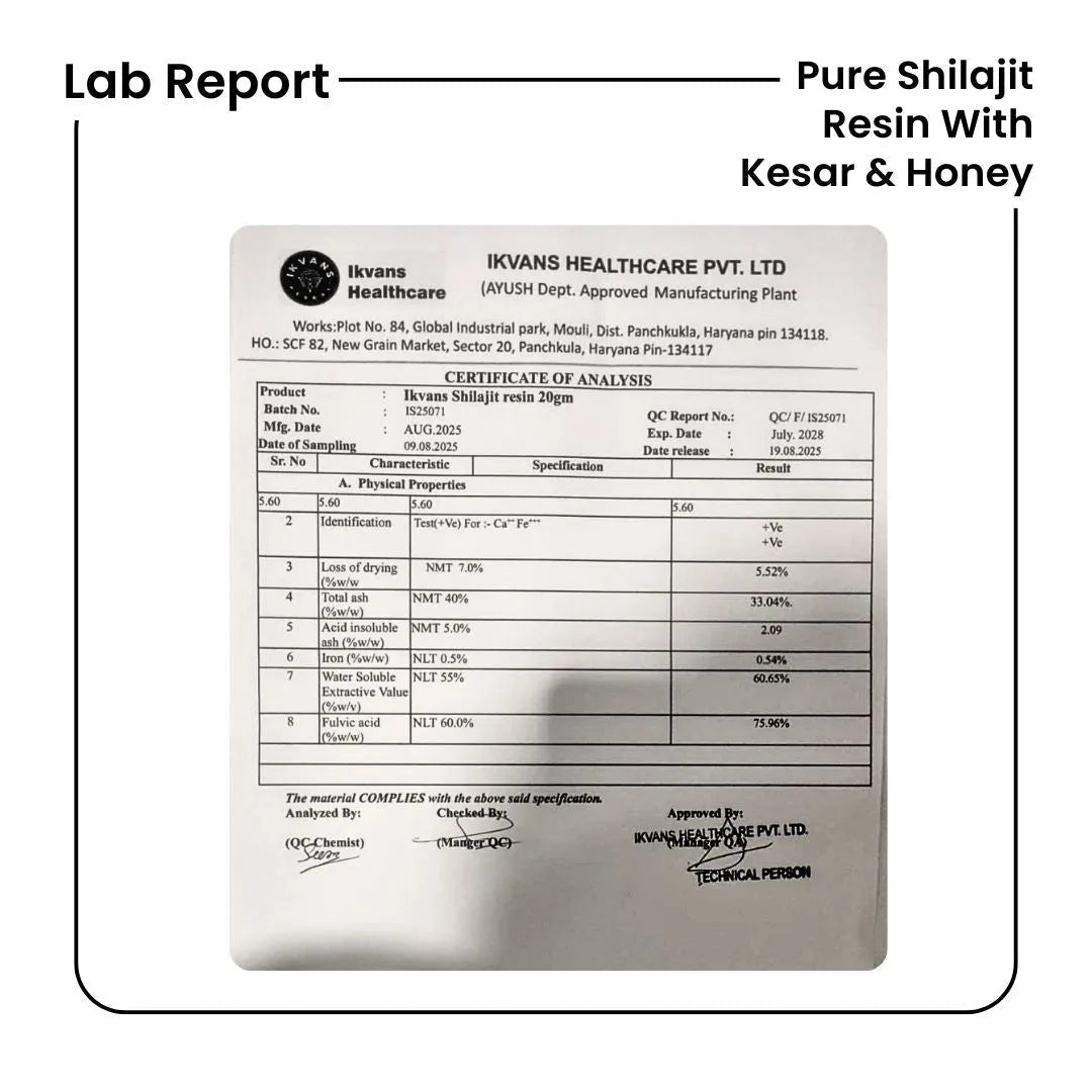 Pure Shilajit Resin with Kesar & Honey (20g) – Ayurvedic Wellness Supplement - Ytaliti Ayurveda